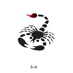 Pochoir pour tatouage brillant Fengda 05-09