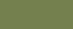 Peinture LifeColor UA531 Dark Green 28