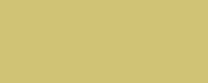 Peinture LifeColor UA430 HBT light shade