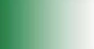 Peinture LifeColor TSC204 Grass