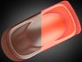 Peinture WICKED W074 Detail Burnt Sienna 60ml