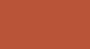 Peinture LifeColor UA729 Dark Wooden Stock