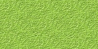 LifeColor Powder POW05: Luxuriant Green