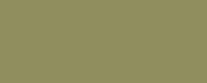 Peinture LifeColor UA213 Grigio-Verde chiaro