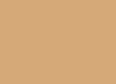 Pigment LifeColor PG105 Dry Dust