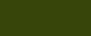 Peinture LifeColor UA303 Green