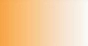 Peinture LifeColor TSC206 Rust 2