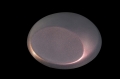 c986c88e85ff423e34c6e8c16369ef50