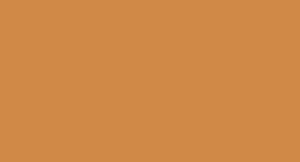 Peinture LifeColor UA728 Light Wooden Stock