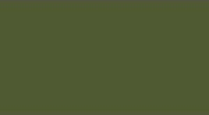 Peinture LifeColor UA245 FINNISH WWII ARMY Sammaleenvihreä