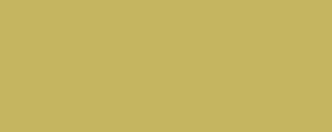 Peinture LifeColor UA426 Olive Drab green tone