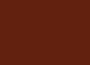 Peinture LifeColor UA905 Intermediate Wear