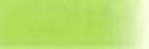 Peinture WICKED W305 Pearl Lime 60ml