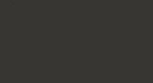 Peinture LifeColor UA731 Dirty Black