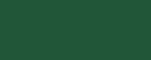 Peinture LifeColor UA216 Verde scuro