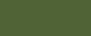 Peinture LifeColor UA238 FS *34096 Dark Olive Var.