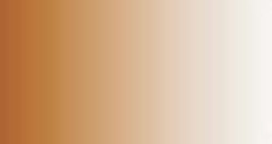 Peinture LifeColor TSC211 Burnt Brown
