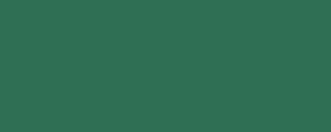 Peinture LifeColor UA514 RAAF Foliage Green