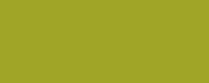 Peinture LifeColor UA240 FS *34259 4BG Light Khaki